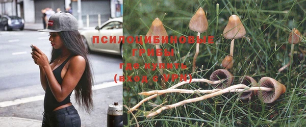 эйфоретик Ростов