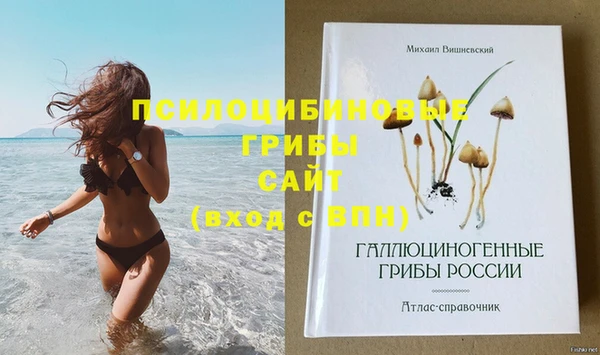 скорость Баксан