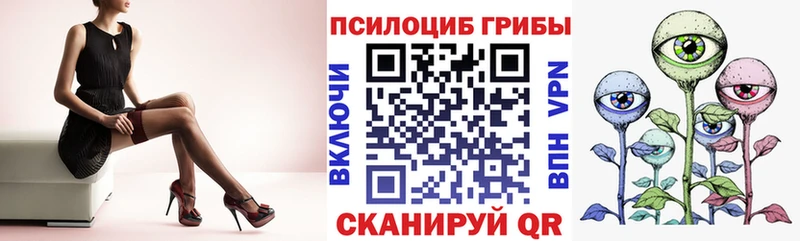 shop состав  Вышний Волочёк  Псилоцибиновые грибы прущие грибы 